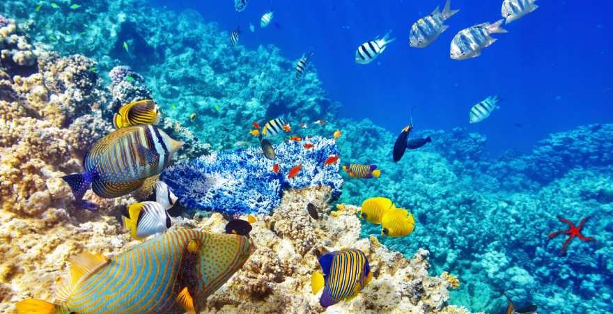 Hurghada, Egypt – a popular resort on the Red Sea