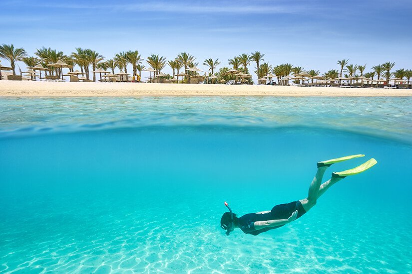 Coral reefs and underwater landscapes of the Red Sea in Egypt