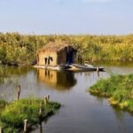 Reed hut by a lake in Egypt