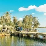 Jetty and palm trees by a lake in Siwa Oasis